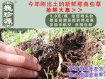 rx(chng)Ĳ շb 1/r(ji)100Ԫ/