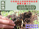 rxĲ շb 0.6/r60Ԫ/